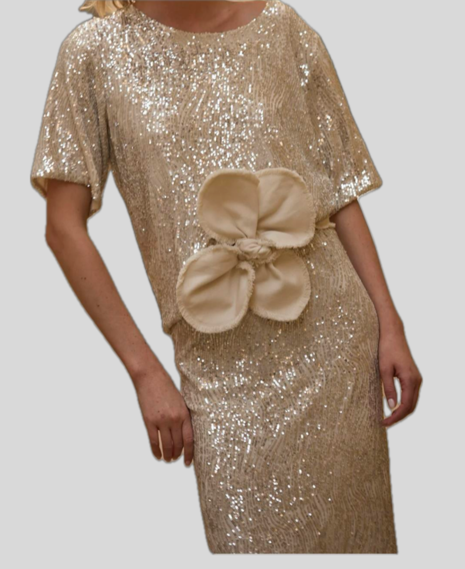 SILVER SEQUINS SET