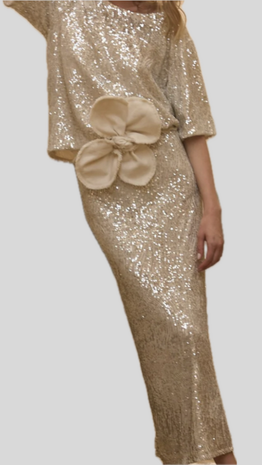 SILVER SEQUINS SET